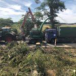 Hauschild holzhaecksel 008