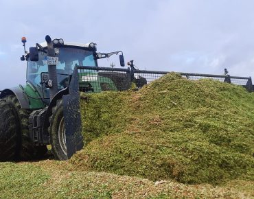 Hauschild radladerschlepper 004