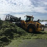 Hauschild radladerschlepper 006