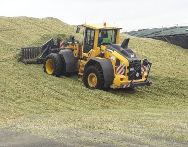 Hauschild radladerschlepper 010