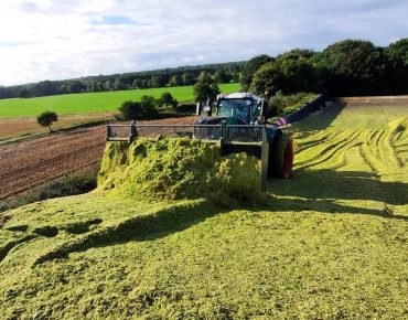 Hauschild radladerschlepper 015