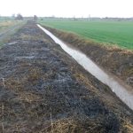 Hausschlid baggerarbeiten 002