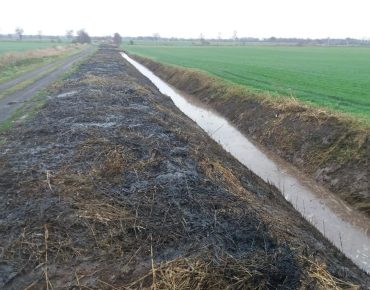 Hausschlid baggerarbeiten 002