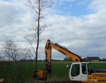 Hausschlid baggerarbeiten 004 370x450