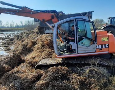 Hausschlid baggerarbeiten 007