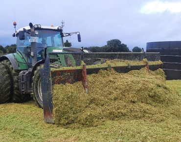 Hausschlid baggerarbeiten 009
