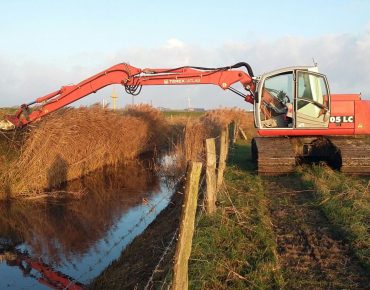 Hausschlid baggerarbeiten 013