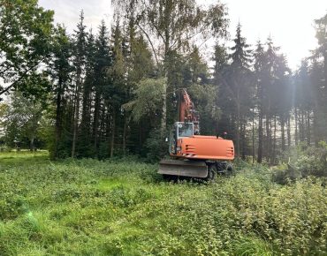 Hauschild baggerarbeiten 037