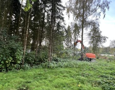 Hauschild baggerarbeiten 038