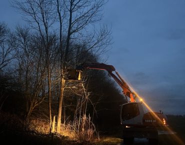 Hauschild baggerarbeiten 040