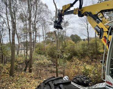 Hauschild baggerarbeiten 041