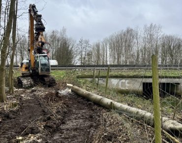 Hauschild baggerarbeiten 045