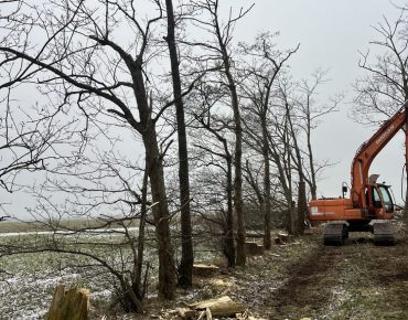 Hauschild baggerarbeiten 051