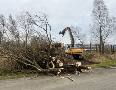 Hauschild baggerarbeiten 055