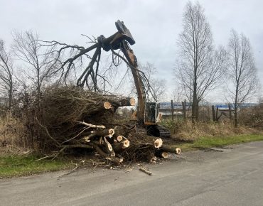 Hauschild baggerarbeiten 056