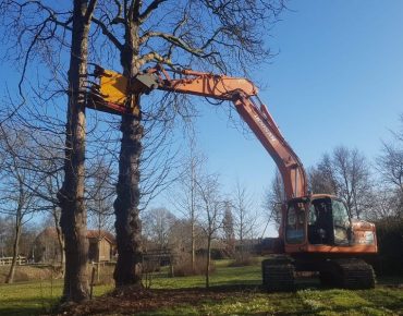 Hauschild baggerarbeiten 093