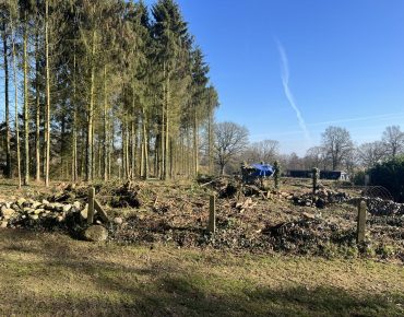 Hauschild forstmulcher schlepper seitenarm 045