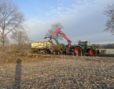 Hauschild holzhaeckselarbeiten 031