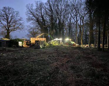 Hauschild holzhaeckselarbeiten 032