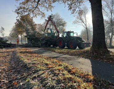 Hauschild holzhaeckselarbeiten 034