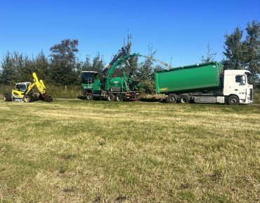 Hauschild holzhaeckselarbeiten 040