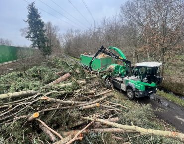 Hauschild holzhaeckselarbeiten 047