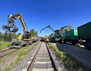 Hauschild holzhaeckselarbeiten 051