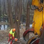 Hauschild impressionen 034