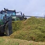 Hauschild impressionen 037