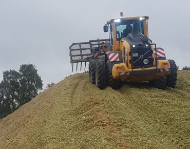 Hauschild silowalzen radlader 031