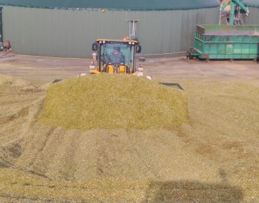 Hauschild silowalzen radlader 035