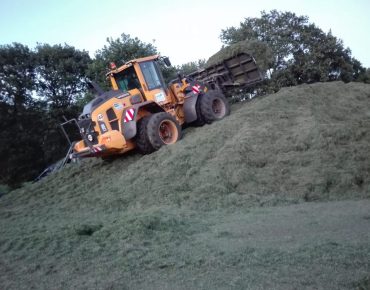 Hauschild silowalzen radlader 036