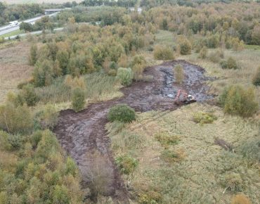 Hauschild renaturierung 001