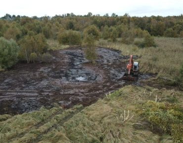 Hauschild renaturierung 003