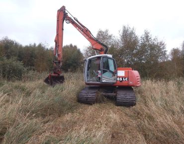 Hauschild renaturierung 005