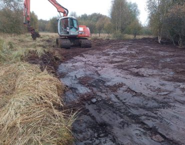 Hauschild renaturierung 007