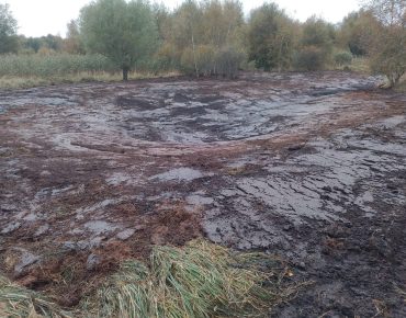 Hauschild renaturierung 008