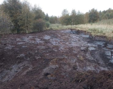 Hauschild renaturierung 009