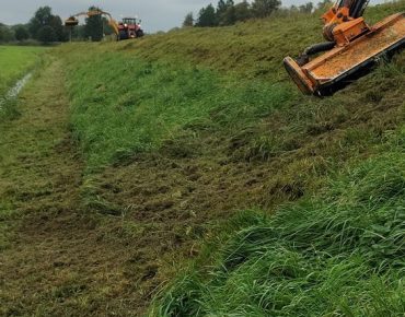 Hauschild seitenarm 004